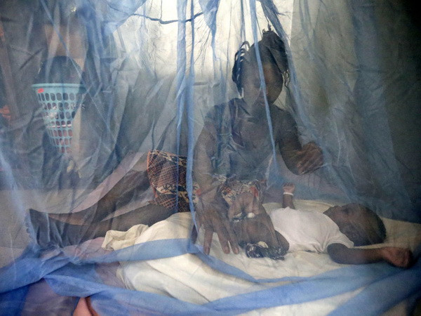 Norvatis chi 100 triệu USD nghiên cứu chữa bệnh sốt rét ảnh 1