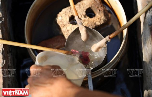 Nông dân Phú Xuyên làm giàu từ trồng cây húng quế lấy tinh dầu ảnh 10