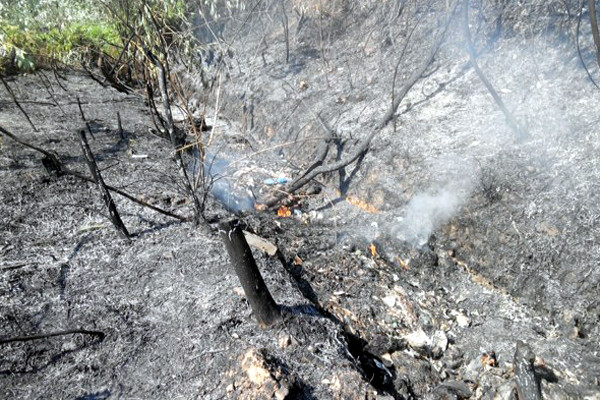 Hà Nội: Hơn 1.000 người tập trung chữa cháy rừng tại Sóc Sơn ảnh 2