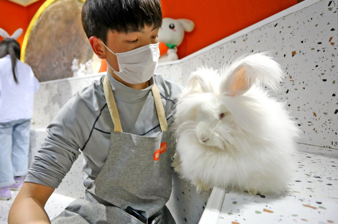 Hãng thời trang Armani ngừng sử dụng len angora để bảo vệ động vật ảnh 1