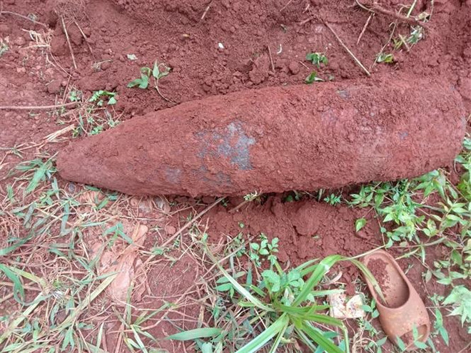 Bình Phước: Xử lý an toàn đầu đạn pháo phát hiện trong vườn ảnh 1