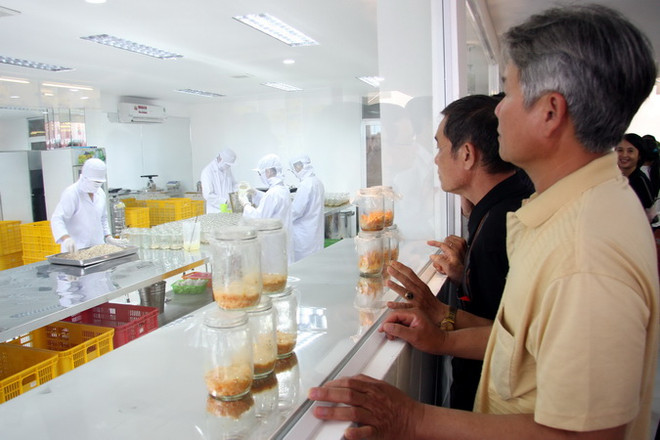 Chuyển giao công nghệ sản xuất đông trùng hạ thảo ở Việt Nam ảnh 2