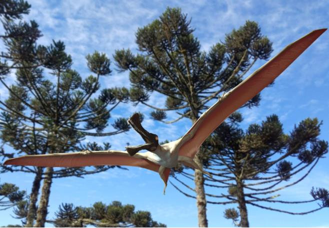 Phát hiện hóa thạch khủng long 96 triệu năm trước tại Australia ảnh 1