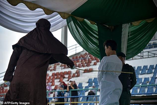 Indonesia: Phạt đánh 100 roi các đối tượng săn bắt động vật hoang dã ảnh 1