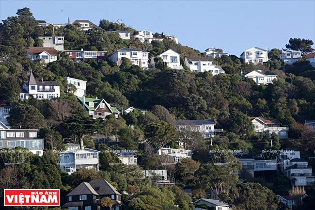 Khám phá quốc đảo New Zealand - Thiên đường du lịch lý thú ảnh 10