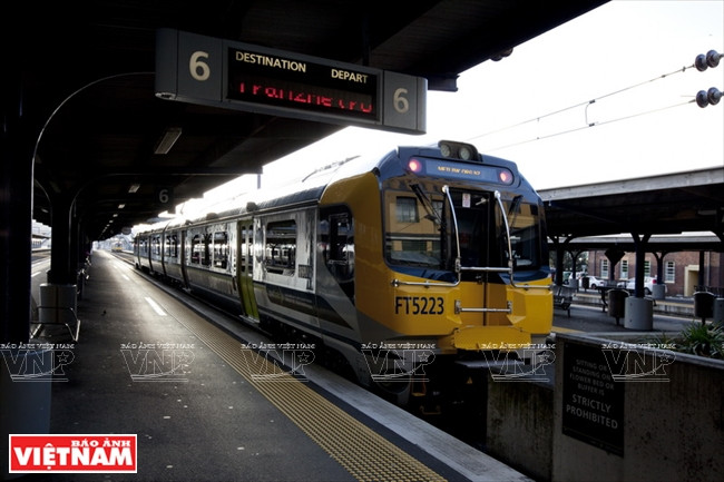 Khám phá quốc đảo New Zealand - Thiên đường du lịch lý thú ảnh 15