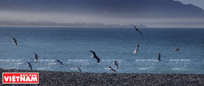 Khám phá quốc đảo New Zealand - Thiên đường du lịch lý thú ảnh 1