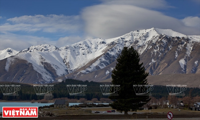 Khám phá quốc đảo New Zealand - Thiên đường du lịch lý thú ảnh 5