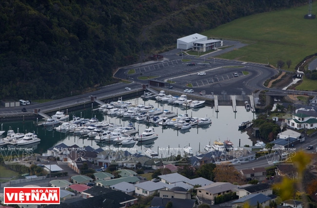 Khám phá quốc đảo New Zealand - Thiên đường du lịch lý thú ảnh 4