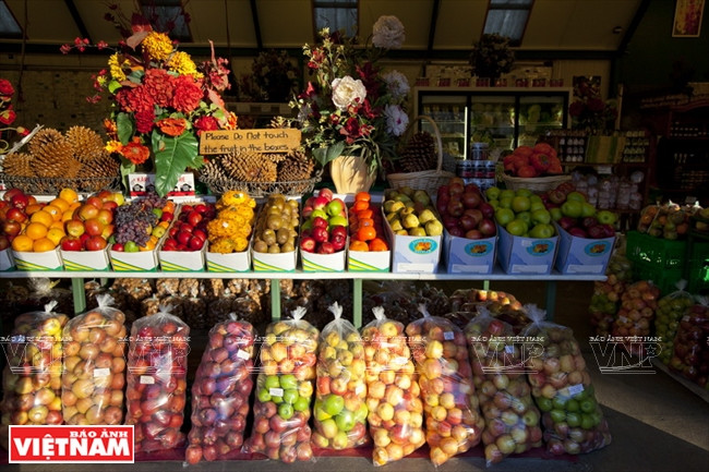 Khám phá quốc đảo New Zealand - Thiên đường du lịch lý thú ảnh 14