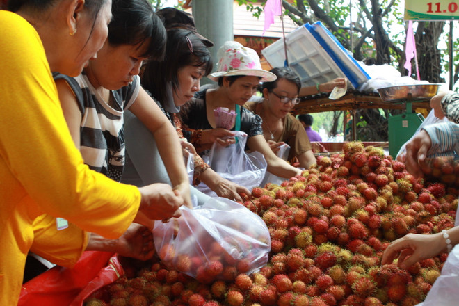 "Bài toán" trái cây Việt Nam: Thừa lượng nhưng vẫn thiếu chất ảnh 2