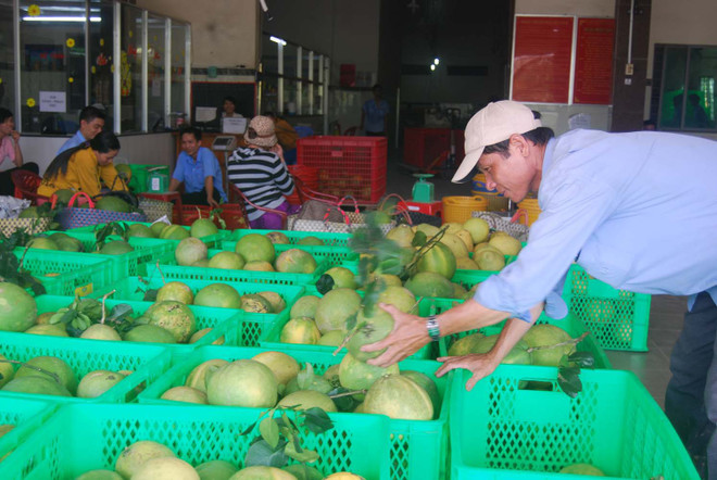 "Bài toán" trái cây Việt Nam: Thừa lượng nhưng vẫn thiếu chất ảnh 3