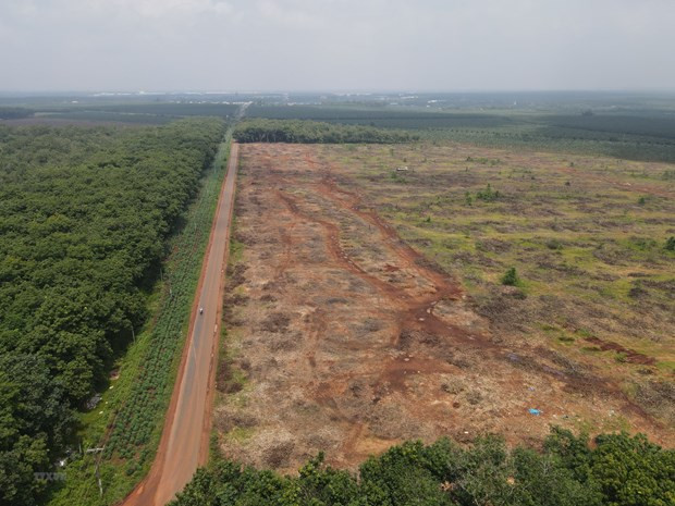 Năm 2023, Đồng Nai xây dựng 3 tuyến đường kết nối sân bay Long Thành ảnh 1