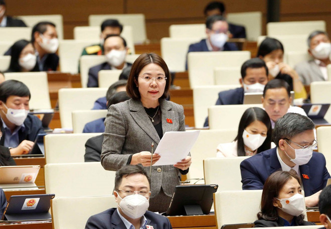 Đại biểu Quốc hội lo ngại bong bóng chứng khoán, bất động sản ảnh 1