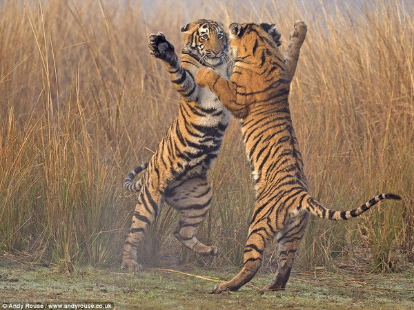 Những sự kiện trong nước nổi bật trong tuần từ ngày 10-16/8 ảnh 8