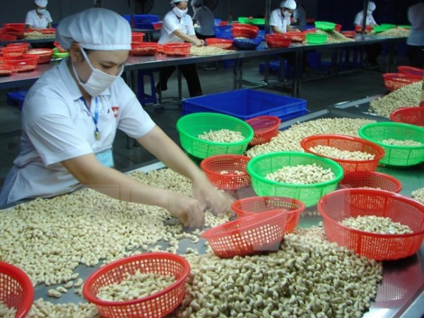 Những sự kiện trong nước nổi bật trong tuần từ ngày 10-16/8 ảnh 2