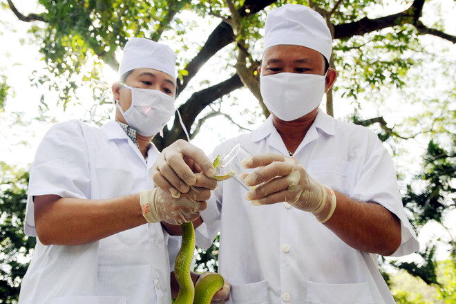 Ảnh chỉ có tính minh họa. (Nguồn: TTXVN) Mười sự kiện khoa học và công nghệ tiêu biểu trong năm 2016 ảnh 5