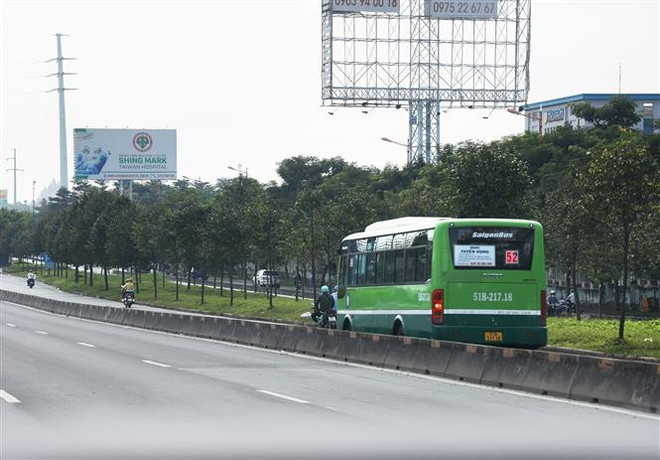Thành phố Hồ Chí Minh: Xử phạt ba người đi bộ không đúng quy định ảnh 1