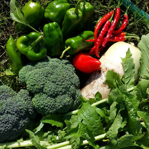 Bốn dạng rối loạn hormone gây tăng cân mà bạn không ngờ tới ảnh 3