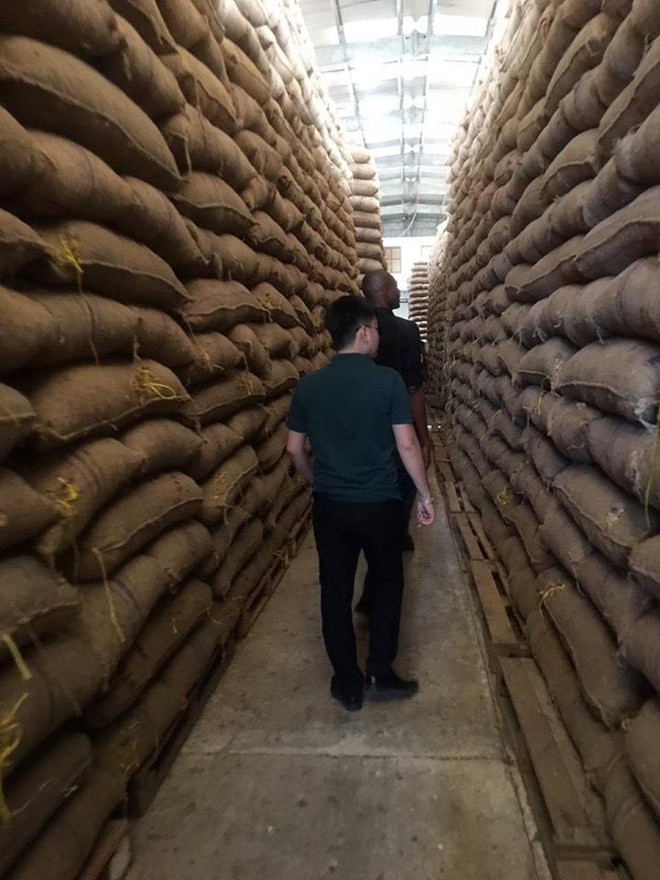 T&T Group ký hợp đồng lớn nhất trong lịch sử ngành điều thế giới ảnh 1