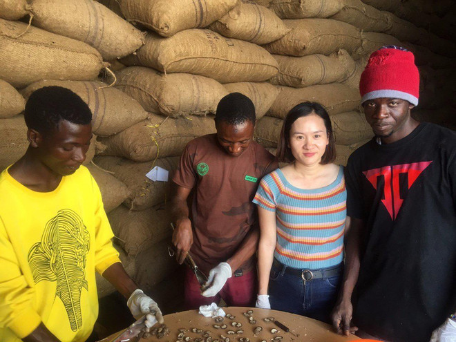 T&T Group ký hợp đồng lớn nhất trong lịch sử ngành điều thế giới ảnh 4