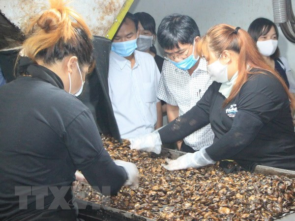 Ngành điều Việt Nam trước thách thức giữ vững ngôi vị số 1 thế giới ảnh 2