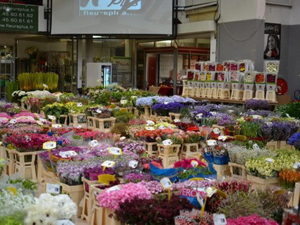 Những bông hoa rực rỡ khoe sắc tại hội chợ hoa Thượng Hải ảnh 1