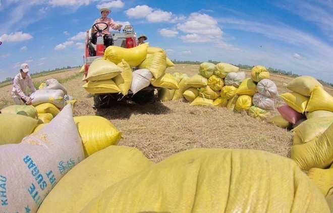 CIEM: Kinh tế Việt Nam bước vào năm 2021 với nhiều lạc quan ảnh 2