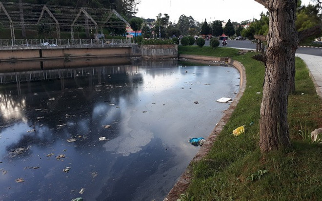 Hồ Đội Có bị ô nhiễm nghiêm trọng. (Nguồn: kinhtemoitruong.vn) Lâm Đồng: Hồ Đội Có giữa trung tâm Đà Lạt bị ô nhiễm nghiêm trọng ảnh 1