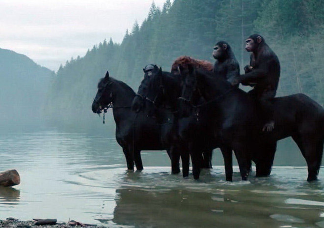 Những bộ phim được đánh giá quá cao và quá thấp trong năm 2014 ảnh 7