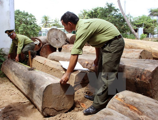 Điều tra vụ hàng chục lâm tặc tấn công cán bộ kiểm lâm ở Đắk Nông ảnh 1