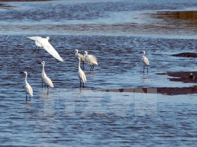Sự kiện trong nước tuần 7-13/9: Ngõ nhỏ Thủ đô rung chuyển vì mìn ảnh 10