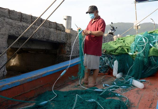Giá dầu tăng cao, ngư dân Đà Nẵng xoay xở để không lỗ vốn ảnh 1