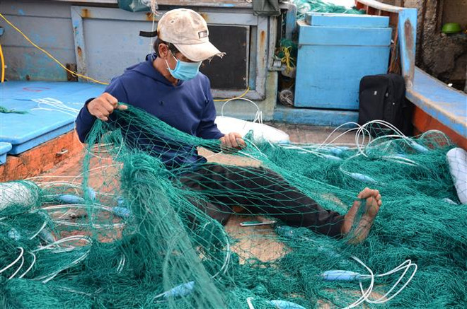 Giá dầu tăng cao, ngư dân Đà Nẵng xoay xở để không lỗ vốn ảnh 2