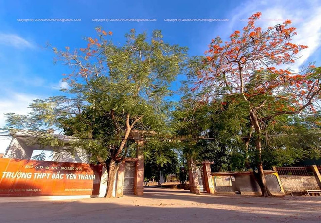 Nghệ An: Chỉ đạo xử lý vụ thầy giáo tát học sinh thủng màng nhĩ ảnh 1