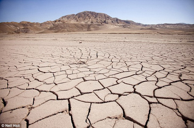 Sahel - nơi khô hạn nhất châu Phi có thể biến thành khu vực ẩm ướt ảnh 1