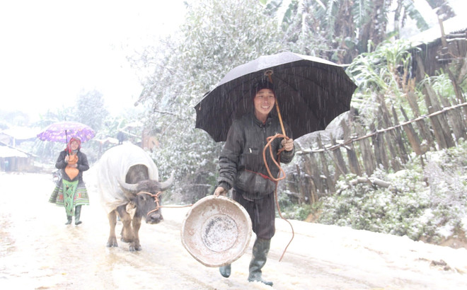 Bắc Bộ tiếp tục duy trì rét đậm, rét hại đến hết ngày 27/1 ảnh 1