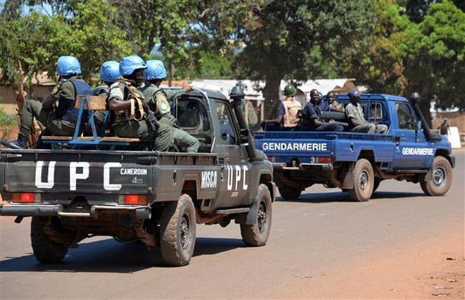 Binh sỹ Liên hợp quốc thiệt mạng do tai nạn máy bay tại CH Trung Phi ảnh 1