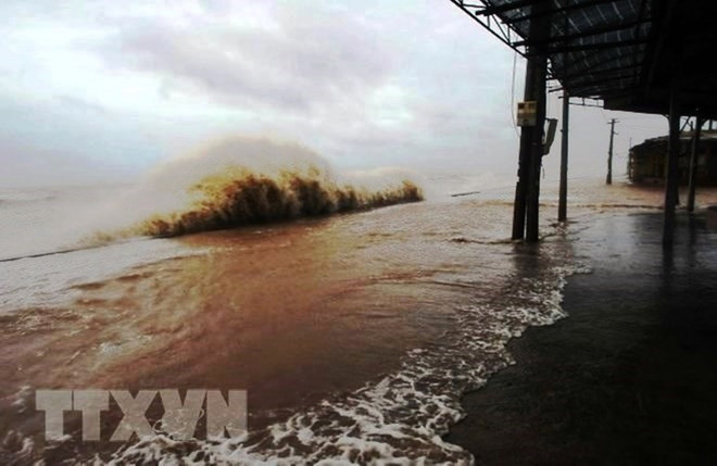 Việt Nam đăng cai tổ chức lễ kỷ niệm 50 năm thành lập Ủy ban Bão ảnh 1