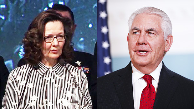 Tổng thống Mỹ Trump bổ nhiệm bà Gina Haspel làm Giám đốc CIA ảnh 1