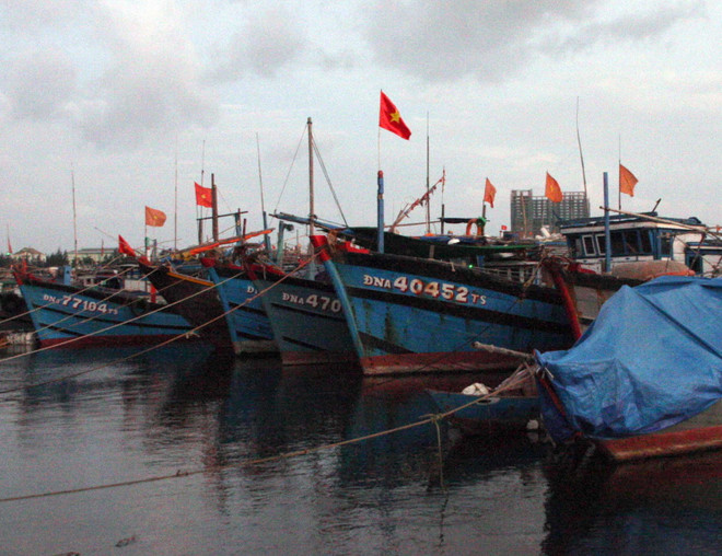 Các tỉnh ven biển cần chủ động ứng phó với áp thấp nhiệt đới ảnh 1