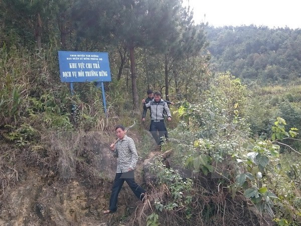 Sự kiện trong nước 20-26/3: Không cấp biển số 80A, 80B cho xe DN ảnh 5