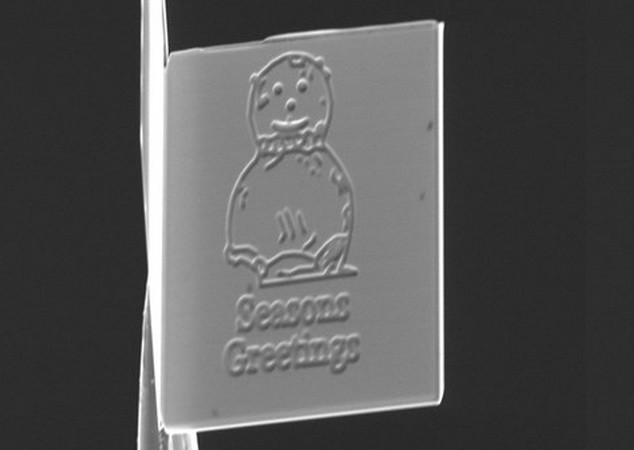 Tấm thiệp Giáng sinh nhỏ nhất thế giới chỉ bằng 1/4 sợi tóc ảnh 1