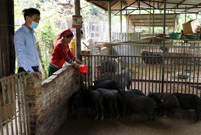 Lấp chỗ trống “thiếu, yếu” cán bộ ở vùng đặc biệt khó khăn ảnh 3