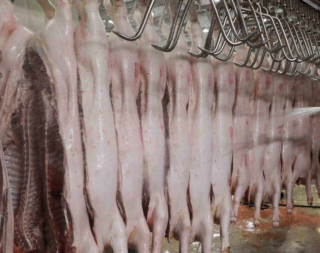 TP.HCM: Không có việc tràn lan thịt heo bẩn trên thị trường hiện nay ảnh 1