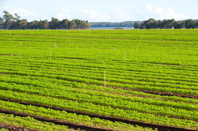 Australia đã hoàn thành mục tiêu giảm khí thải của năm 2020 ảnh 1
