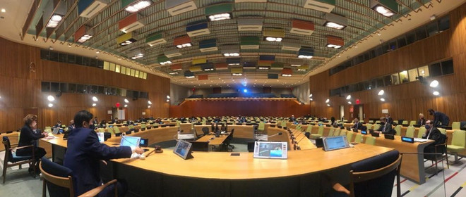 Việt Nam chủ trì phiên họp trực tiếp về tiến trình bầu cử của Somalia ảnh 1