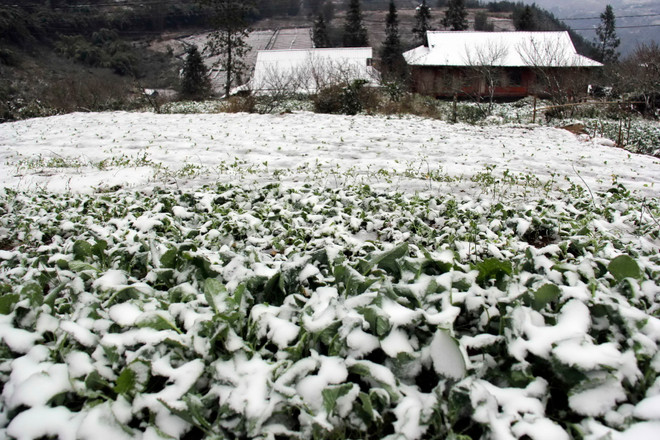 Nhắn tin “Áo ấm mùa Đông” giúp đỡ đồng bào vùng cao chống rét ảnh 1
