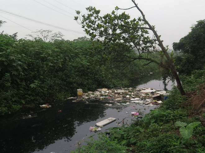 Hà Nội duyệt dự án bảo vệ môi trường làng nghề đến năm 2020 ảnh 1