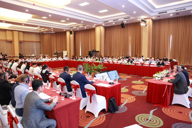 Nông nghiệp sinh thái: ‘Đòn bẩy' để Việt Nam đưa phát thải ròng về 'O' ảnh 1